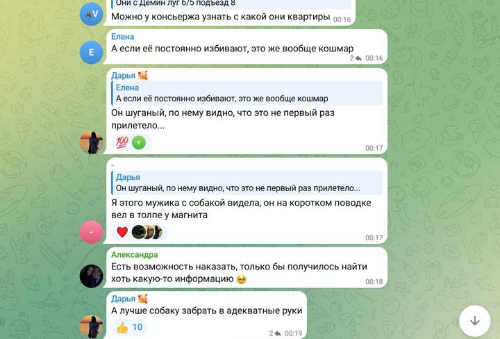 Мужчина при детях отхлестал добермана веткой в Подмосковье