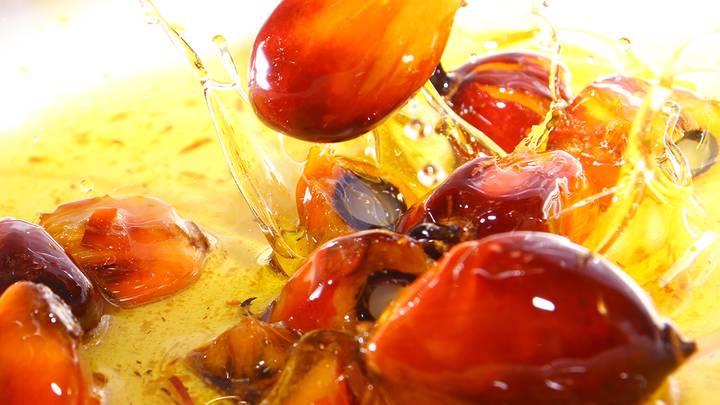 Масленица под пальмами