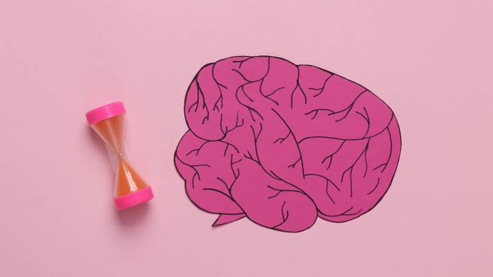 Мыши против Альцгеймера