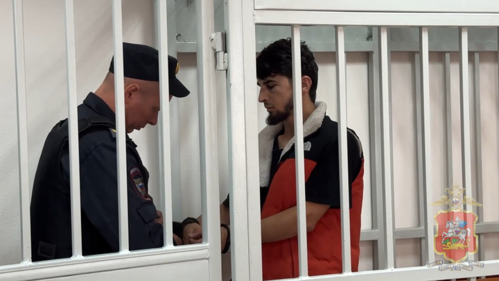 Фото: Пресс-служба ГУ МВД по Московской области