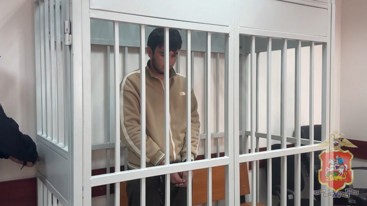Фото: Пресс-служба ГУ МВД по Московской области