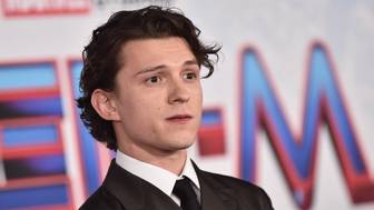 Долину обманули с паспортом с фото исполнителя роли Человека-паука Тома Холланда