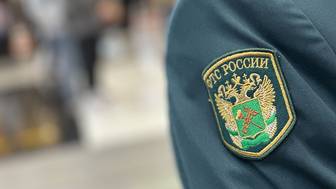 Таможенники поймали в Домодедове женщину с украшениями почти на 12 миллионов