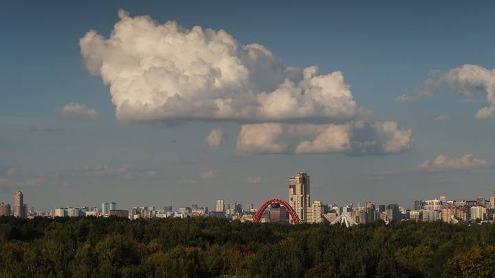 Фото: Анатолий Цымбалюк / Вечерняя Москва