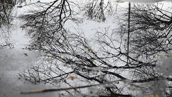 На Кубани объявили штормовое предупреждение из-за сильного дождя