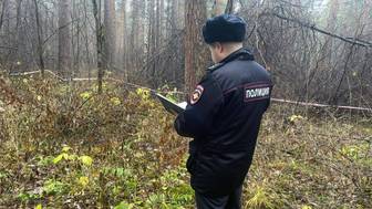 Что известно об убийстве женщины, чье голое и обезглавленное тело нашли в Екатеринбурге