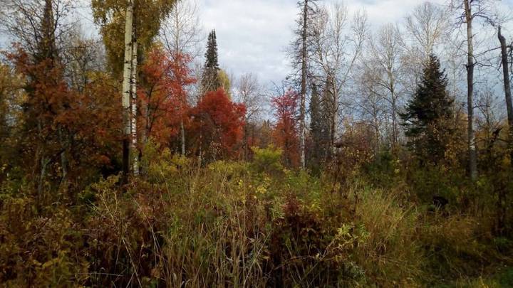 Фото: Пресс-служба ГСУ СКР по Красноярскому краю и Республике Хакасия