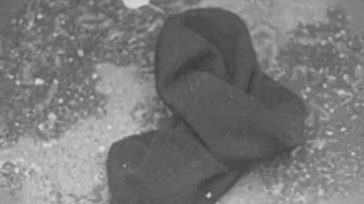 Фото: Скриншот / НТВ Фото: Скриншот / НТВ