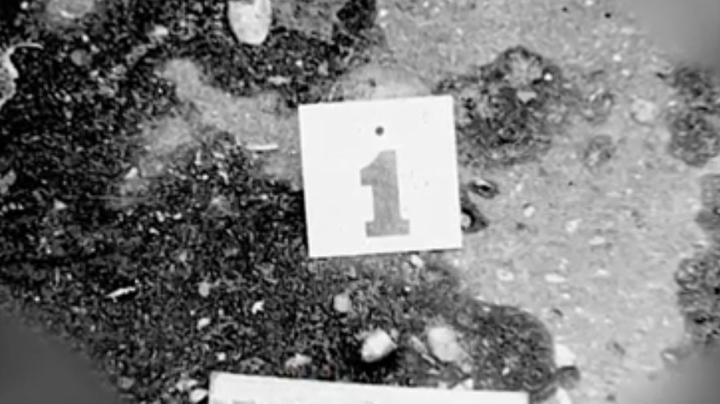 Фото: Скриншот / НТВ Фото: Скриншот / НТВ