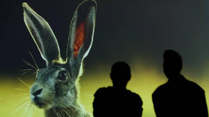 Куда сходить в Москве в ноябре: концерты, выставки, стендап, для детей