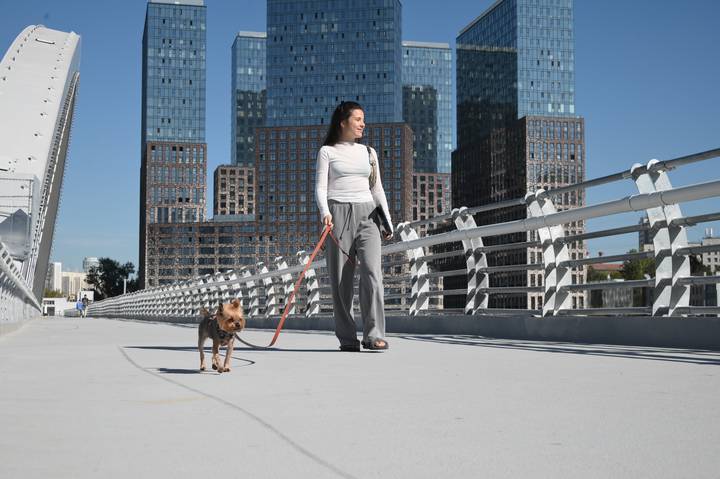 «Космический» прорыв или мост, который ждали жители столицы