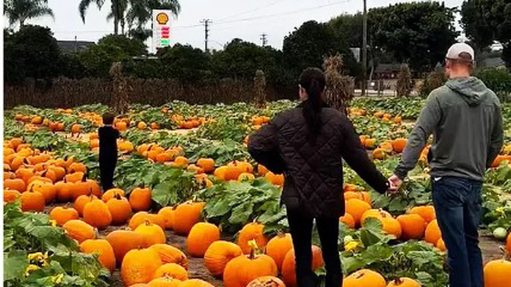 Меган Маркл показала редкие кадры с детьми и принцем Гарри