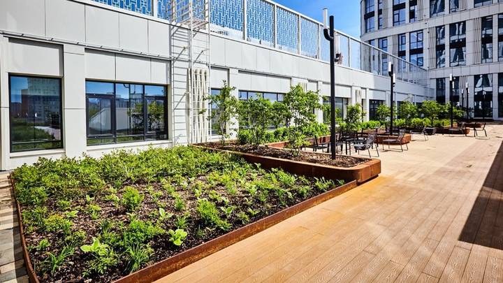 «Техноверанда» в индустриальном парке «Руднево» — один из примеров современного подхода к благоустройству на промышленных объектах города