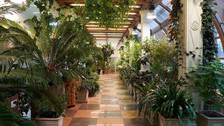 Куда сходить в Москве в ноябре: концерты, выставки, стендап, для детей