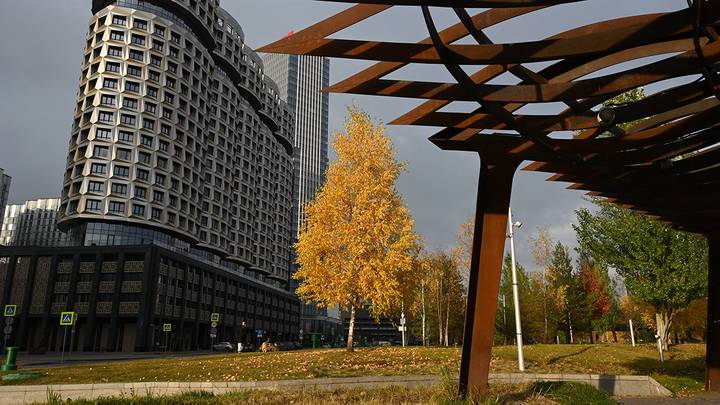 Фото: Анатолий Цымбалюк / Вечерняя Москва