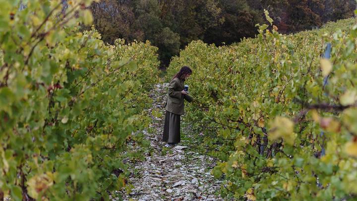 Прекрасный уголок земли: как группа компаний «Абрау-Дюрсо» помогает жителям села