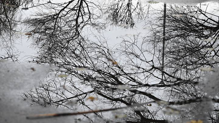 Фото: Мария Хапцова / Вечерняя Москва