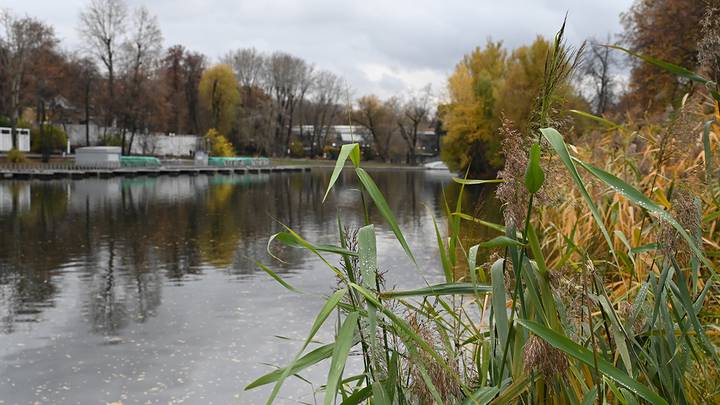 Фото: Мария Хапцова / Вечерняя Москва