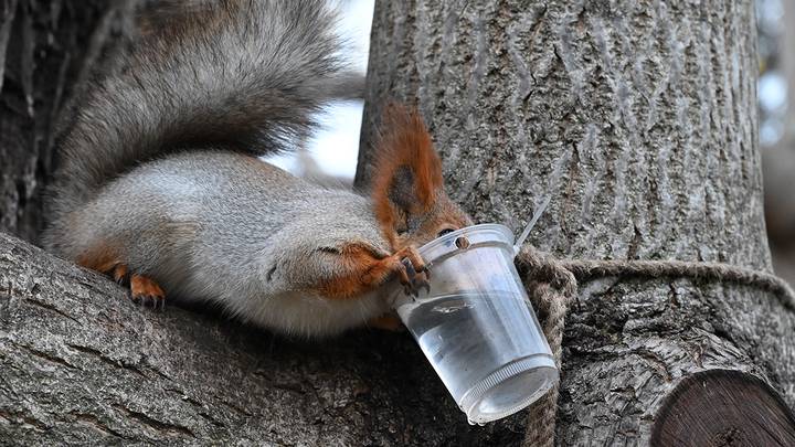 Фото: Мария Хапцова / Вечерняя Москва