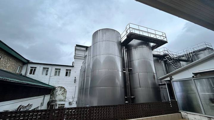 Что посетить в Абрау-Дюрсо: виноградники, завод игристых вин, экскурсии, дегустации