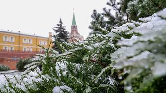 Вильфанд: До четырех сантиметров снега выпадет на следующей неделе в Москве