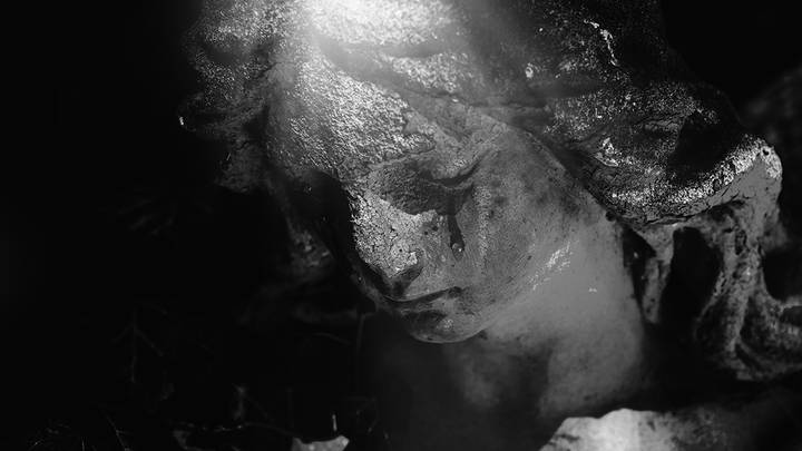 Восемь главных книжных новинок ноября