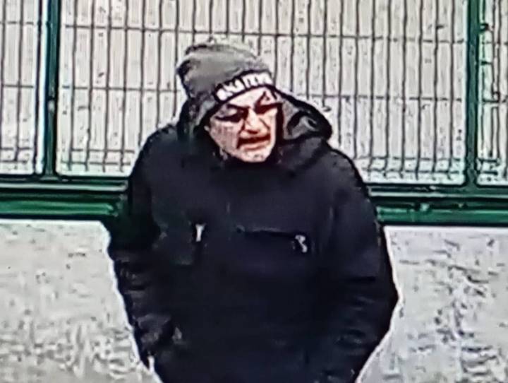 Похищение собаки Симы в Остафьеве: главное о произошедшем, жива ли собака, что известно о подозреваемом