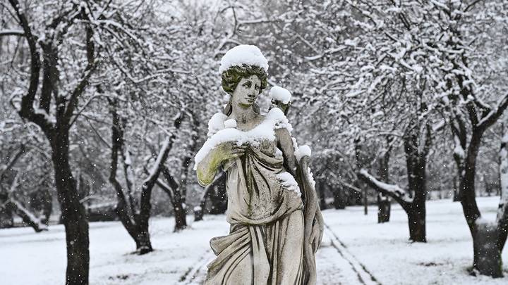 Фото: Анатолий Цымбалюк / Вечерняя Москва