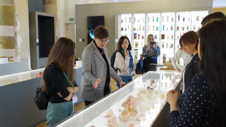 Новогодние елки 2025–2026 для детей в Москве