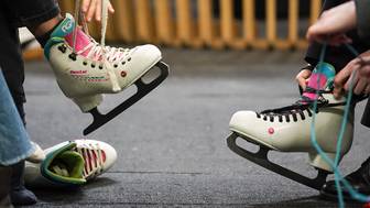 Депутат Госдумы призвал россиян не кататься на коньках по диким водоемам