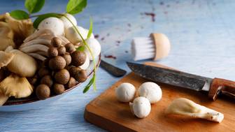 Польза и вред грибов: мнение врача