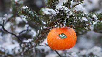 Метеоролог Позднякова предупредила о потеплении в Москве в ближайшее время