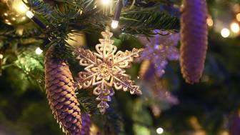 Синоптик Тишковец: Москвичи встретят Новый год с морозом и со снегом