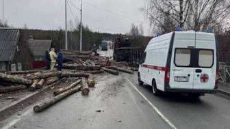 В Карелии вылетевшие с лесовоза бревна раздавили машину вместе с водителем