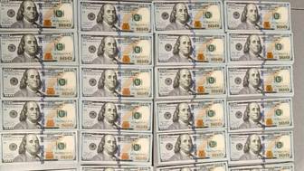 Прилетевшего из США с 38 тысячами долларов иностранца задержали в Москве