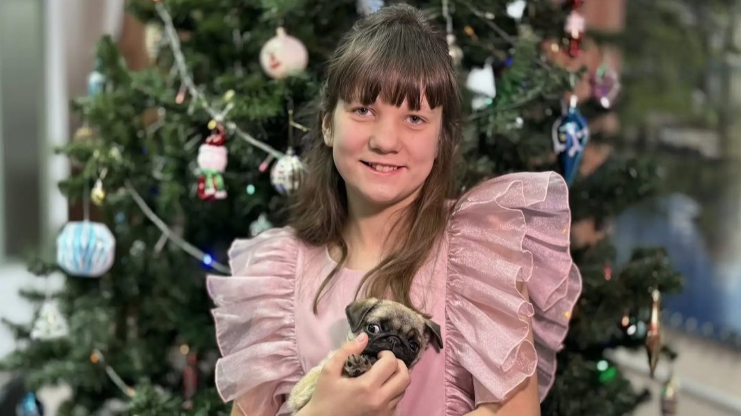 Путин подарил мопса девочке из Красноярского края