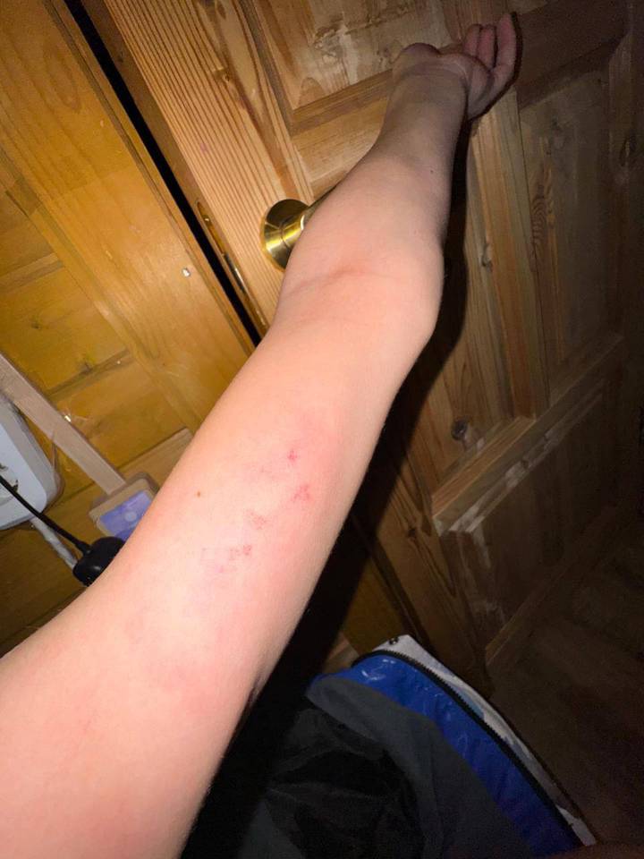 Фото: Telegram / @doveoftheworld