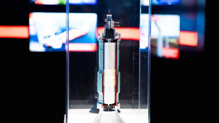 Фото: Андрей Прошин / Вечерняя Москва