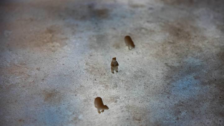 Фото: Андрей Прошин / Вечерняя Москва