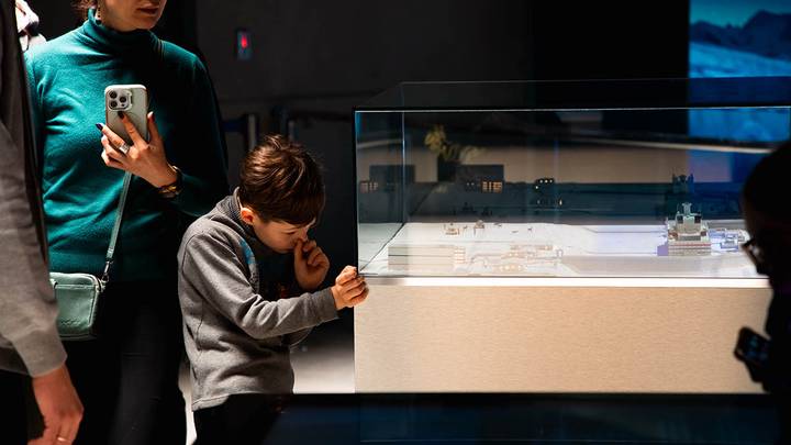 Фото: Андрей Прошин / Вечерняя Москва