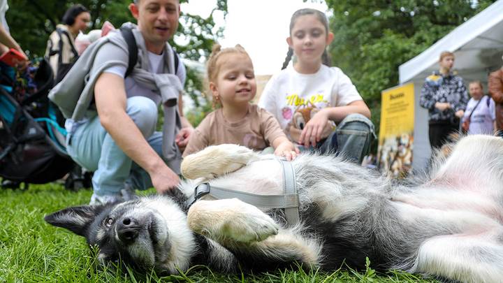 Летний фестиваль «Собаки, друзья и человеки» / Фото: АГН Москва