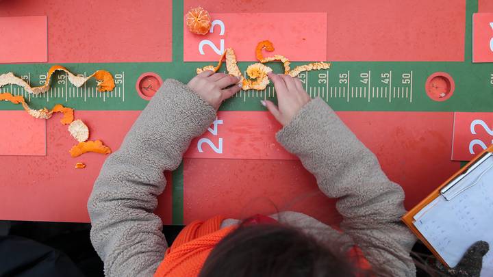 Финальный этап новогоднего конкурса по очистке мандаринов единой полоской в парке «Сокольники» / Фото: АГН Москва