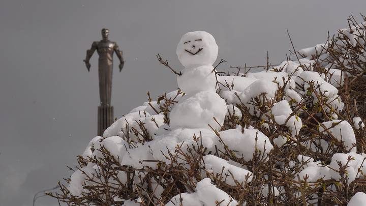 Фото: Анатолий Цымбалюк / Вечерняя Москва