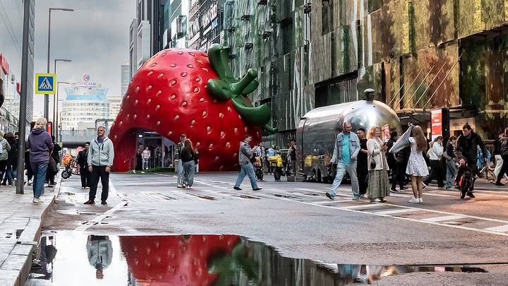 Фото: Дмитрий Дубинский / Вечерняя Москва