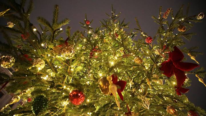 Фото: Артур Новосильцев / АГН Москва