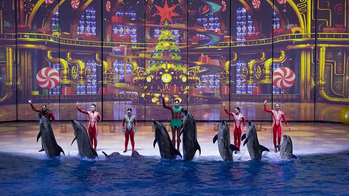 Куда сходить в Москве в декабре: елки, шоу, концерты, спектакли