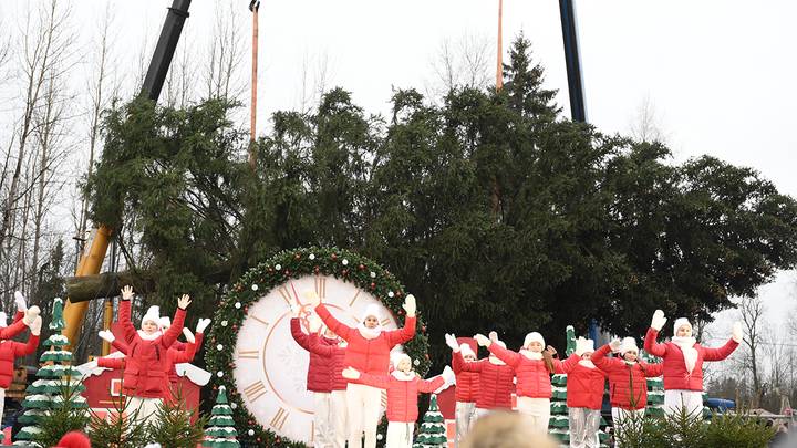 Церемония спиливания главной новогодней елки России в Рузском муниципальном округе / Фото: Пелагия Замятина / Вечерняя Москва