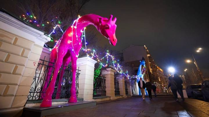 Фото: Пресс-служба Анастасии Раковой