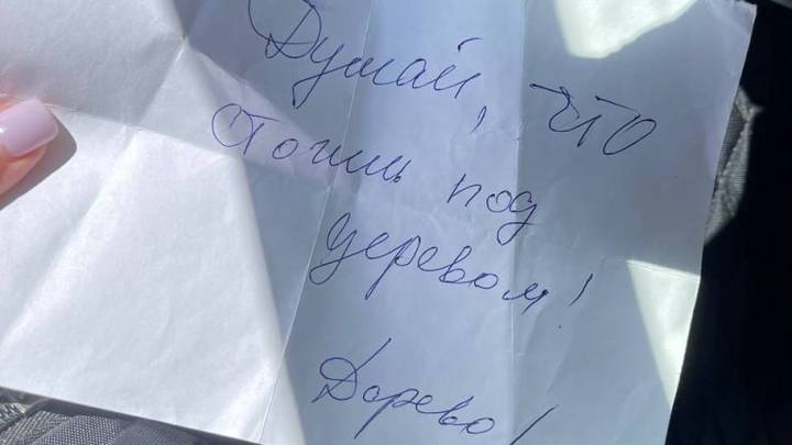 Отравление лошадей в конном клубе «У озера» в Волжском: кто это делает, какие мотивы и поймали ли преступника