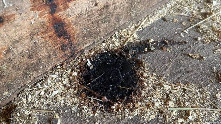 Преступник пролил кислоту, когда убегал